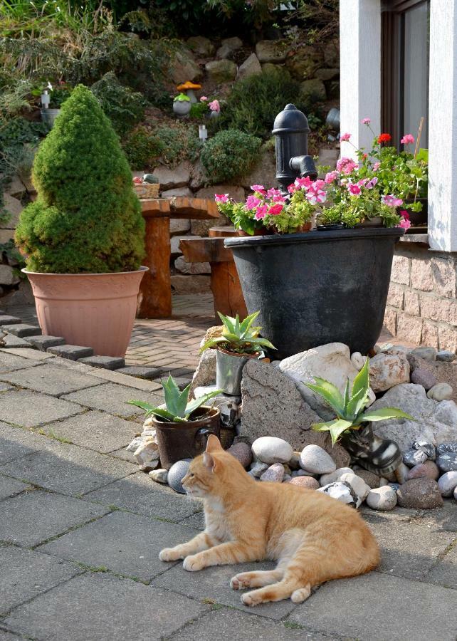 Ferienwohnung Reissmann Heinsdorfergrund Buitenkant foto
